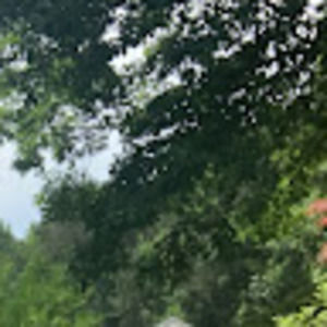 Meet your Posher, Your mom